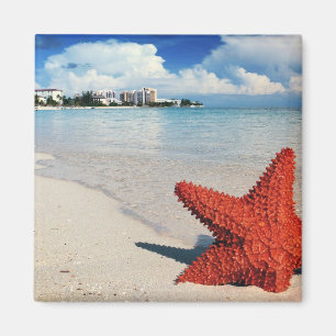 Starfish, Nassau, Bahamas Magnet