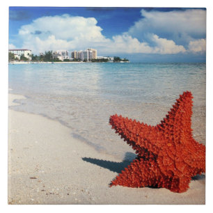 Starfish, Nassau, Bahamas Tile