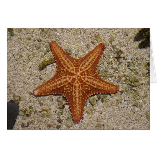 Starfish notecard