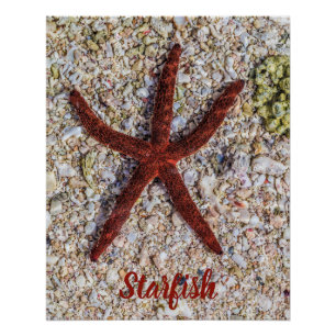 Starfish Ocean Vintage Beach Retro Souvenir Poster