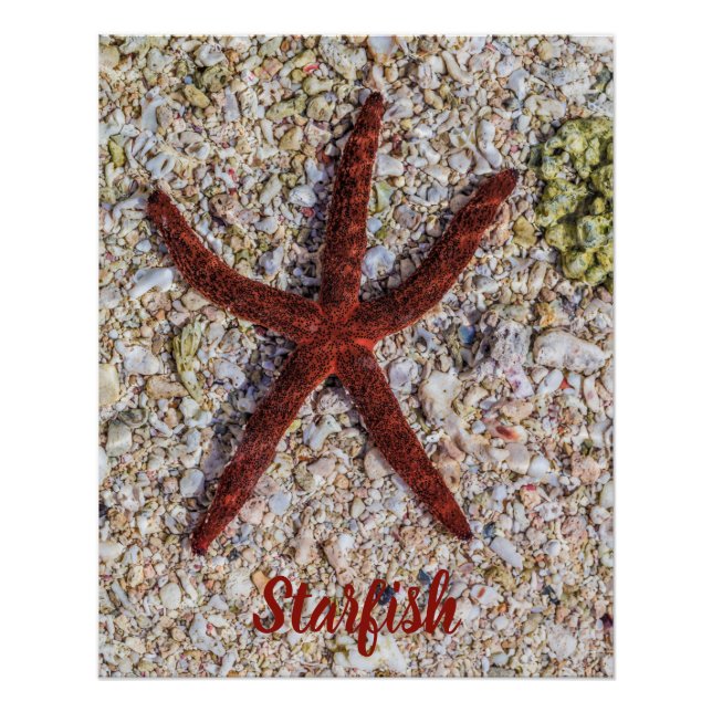 Starfish Ocean Vintage Beach Retro Souvenir Poster (Front)