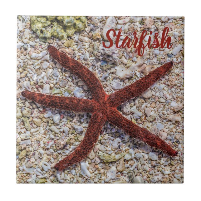 Starfish Ocean Vintage Beach Retro Souvenir Tile (Front)