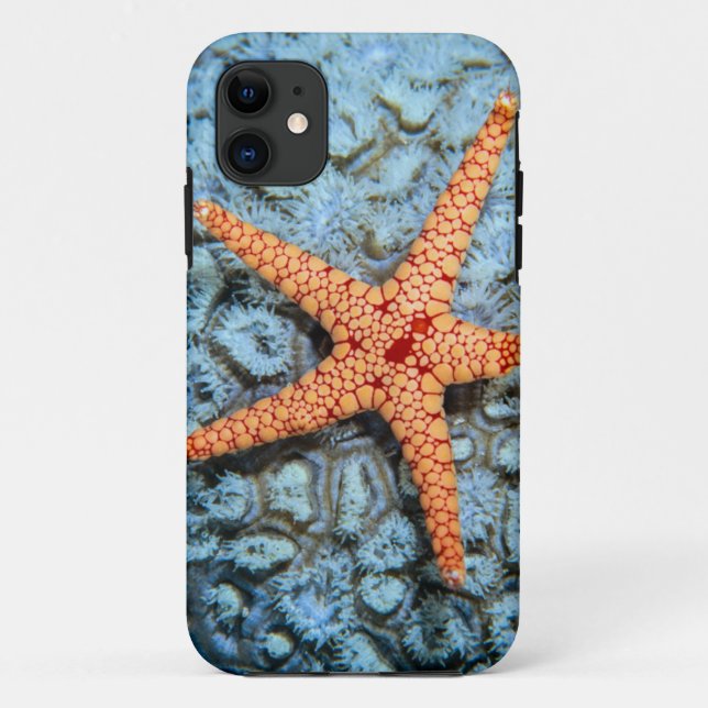 Starfish On A Coral With Polips Case-Mate iPhone Case (Back)