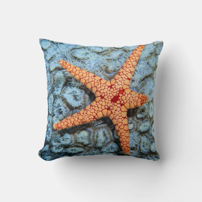 Starfish On A Coral With Polips Cushion (Front)