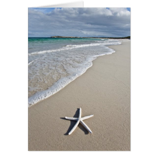 Starfish On A Remote Beach (Front)