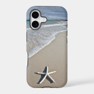 Starfish On A Remote Beach
