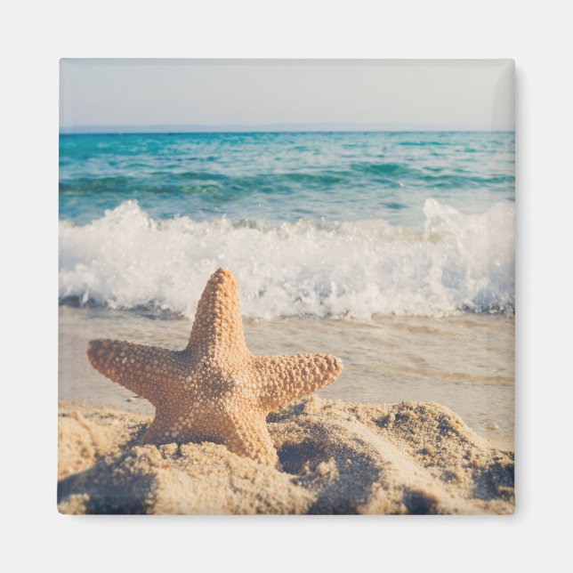 Starfish on a Sandy Beach Photograph Magnet (Front)