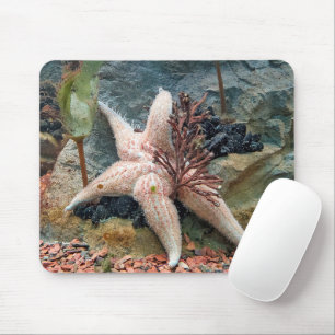 Starfish On Aquatic Plant Mouse Mat