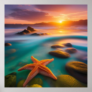 Starfish on beach at Dawn Poster