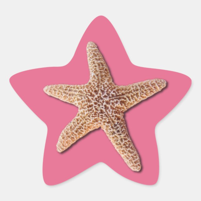 Starfish on Honeysuckle 2011 Star Sticker (Front)