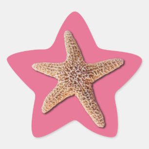 Starfish on Honeysuckle 2011 Star Sticker
