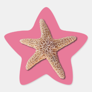 Starfish on Honeysuckle 2011 Star Sticker