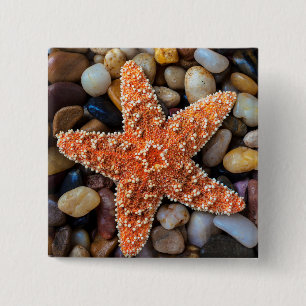 Starfish On Rocks 15 Cm Square Badge