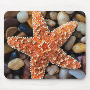 Starfish On Rocks Mouse Mat
