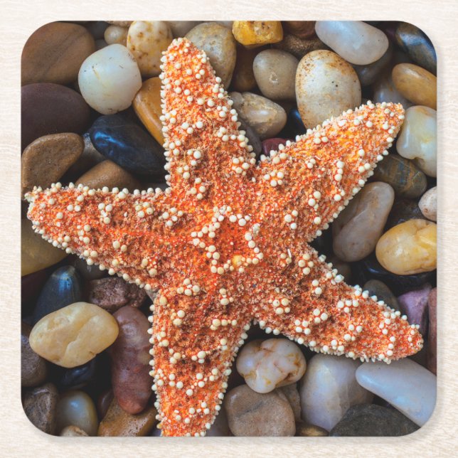 Starfish On Rocks Square Paper Coaster (Front)