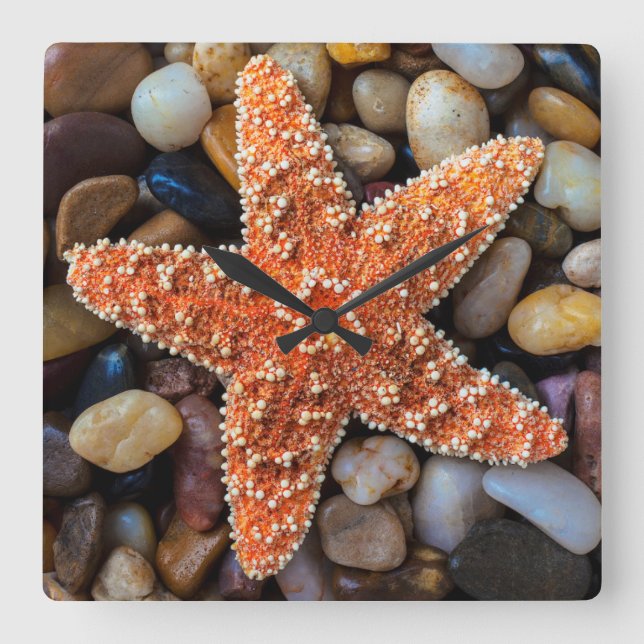 Starfish On Rocks Square Wall Clock (Front)