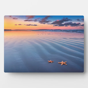 Starfish On Sand Plaque