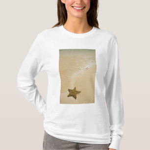 Starfish on sandy beach, Gibbs Cay Land T-Shirt
