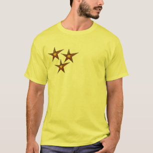 Starfish on sandy beach Summer art T-Shirt