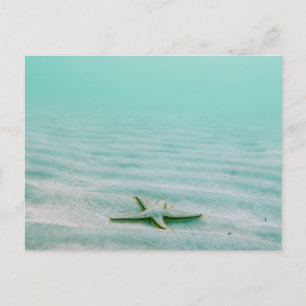 STARFISH ON SEABED POSTCARD