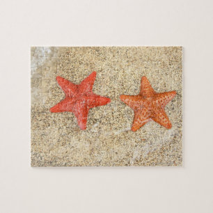 starfish on the beach, at the edge of the ocean jigsaw puzzle
