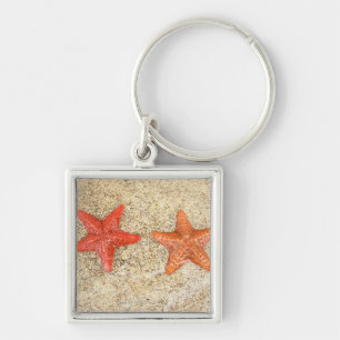 starfish on the beach, at the edge of the ocean key ring
