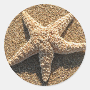 Starfish on the beach classic round sticker