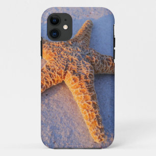 Starfish On White Sand iPhone 11 Case