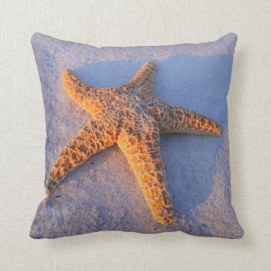 Starfish On White Sand Cushion