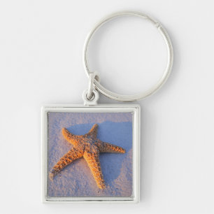 Starfish On White Sand Key Ring