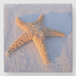 Starfish On White Sand Stone Coaster