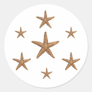 Starfish Pattern (geometric) Classic Round Sticker