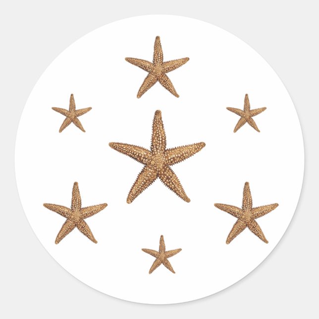 Starfish Pattern (geometric) Classic Round Sticker (Front)