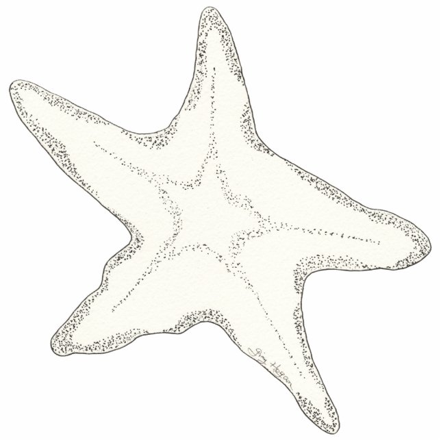 Starfish Photo Sculpture (Front)