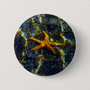 Starfish Pinback 6 Cm Round Badge