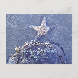 Starfish Postcard