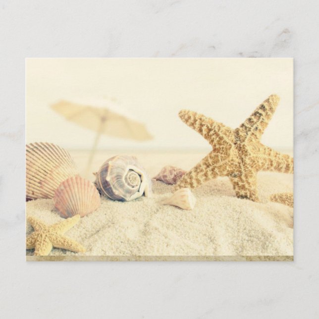 Starfish Postcard (Front)