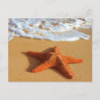Starfish Postcard