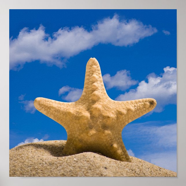 starfish poster (Front)