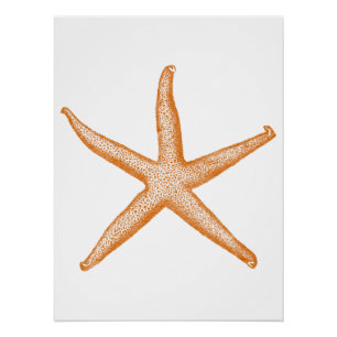 Starfish Poster