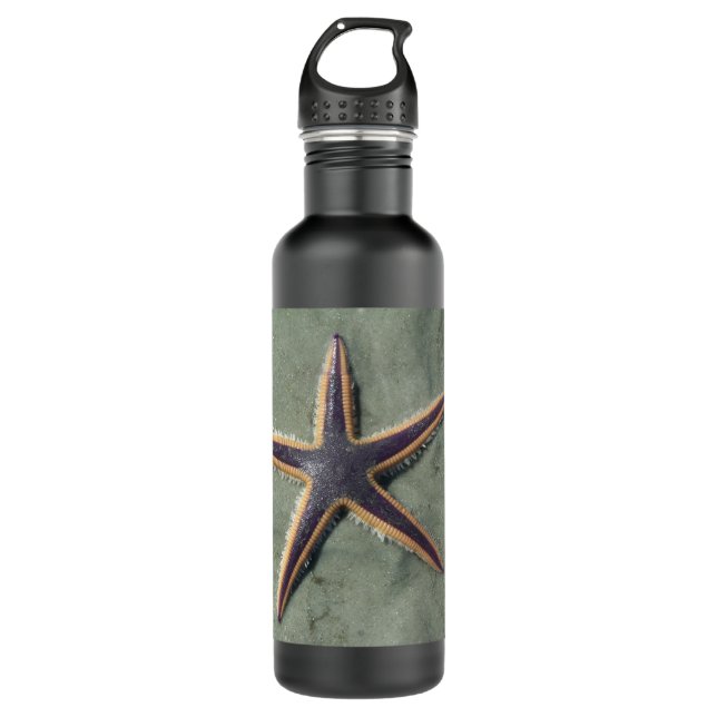 Starfish Purple sea star on beach 710 Ml Water Bottle (Front)