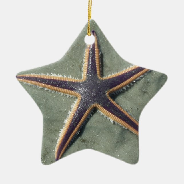 Starfish Purple sea star on beach Ceramic Tree Decoration (Front)