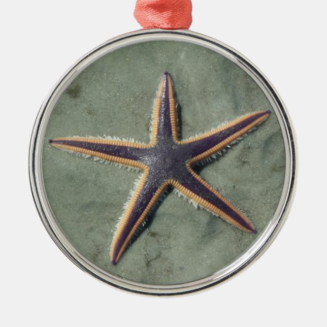 Starfish Purple sea star on beach Metal Tree Decoration (Front)