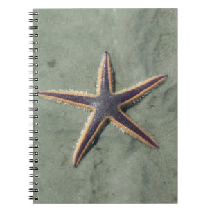 Starfish Purple sea star on beach Notebook