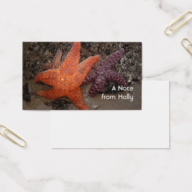 Starfish/Sea Stars, Cannon Beach OR, Photo 1 (Office)