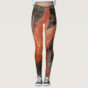 Starfish/Sea Stars in Cannon Beach, OR, Photo 1 Leggings