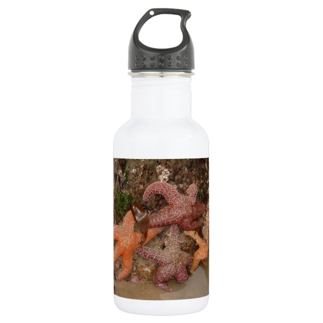 Starfish/Sea Stars in Cannon Beach, OR, Photo 4 532 Ml Water Bottle (Front)