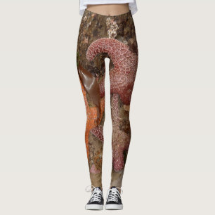 Starfish/Sea Stars in Cannon Beach, OR, Photo 4 Leggings