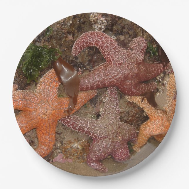 Starfish/Sea Stars in Cannon Beach, OR, Photo 4 Paper Plate (Front)