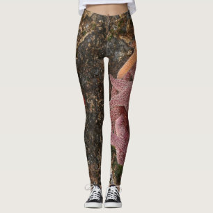Starfish/Sea Stars in Cannon Beach, OR, Photo 5 Leggings